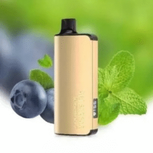 Alibarbar Ingot 9000 blueberry mint