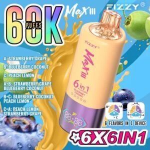 Fizzy Max III 6IN1 60K Puffs Blueberry Coconut