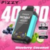 Fizzy Nova Plus 40000 Puffs Blueberry Coconut