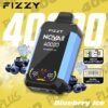 Fizzy Nova Plus 40000 Puffs Blueberry Ice