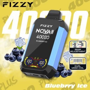 Fizzy Nova Plus 40000 Puffs Blueberry Ice